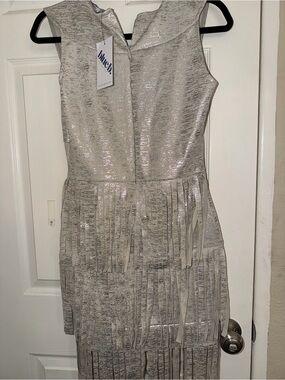 Metallic Silver Fringe Mini Dress with Collar